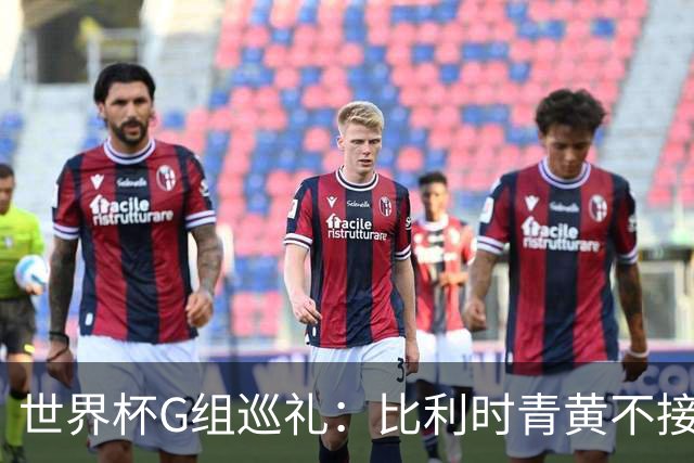 世界杯G组巡礼：比利时青黄不接 伊朗赴美参赛风波不断