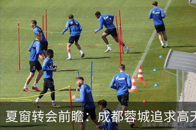 夏窗转会前瞻：成都蓉城追求高天意与陈晋一的背后逻辑