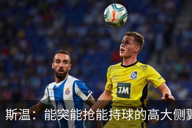 斯温：能突能抢能持球的高大侧翼 或是首轮末捡漏最佳选择？