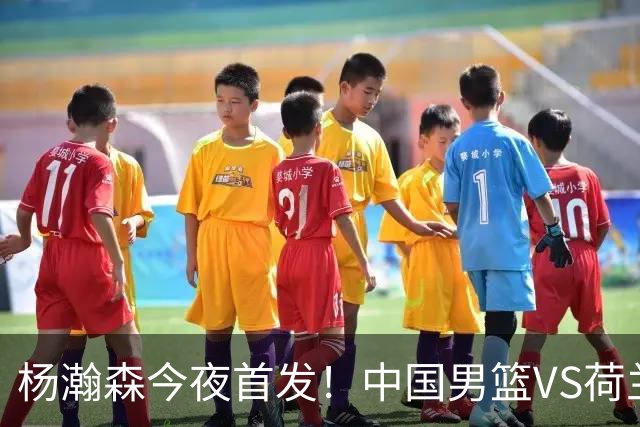 杨瀚森今夜首发！中国男篮VS荷兰，先发5人出炉：贺希宁领衔防线