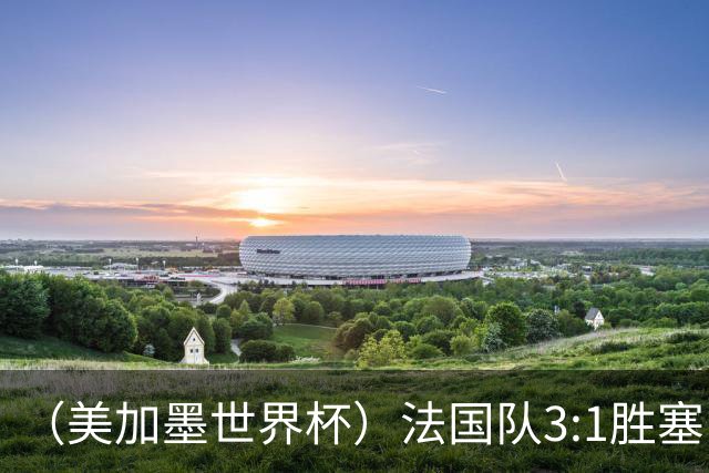（美加墨世界杯）法国队3:1胜塞内加尔 姆巴佩梅开二度