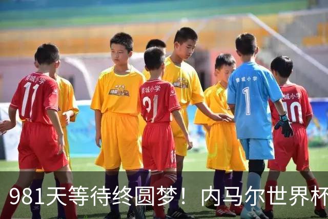 981天等待终圆梦！内马尔世界杯替补登场 书写桑巴温情